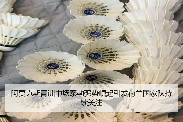 阿贾克斯青训中场泰勒强势崛起引发荷兰国家队持续关注